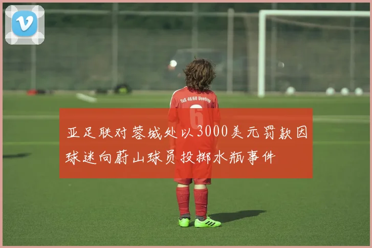 亚足联对蓉城处以3000美元罚款因球迷向蔚山球员投掷水瓶事件