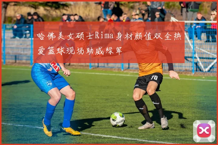 哈佛美女硕士Rima身材颜值双全热爱篮球现场助威绿军