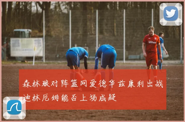 森林狼对阵篮网爱德华兹康利出战迪林厄姆能否上场成疑