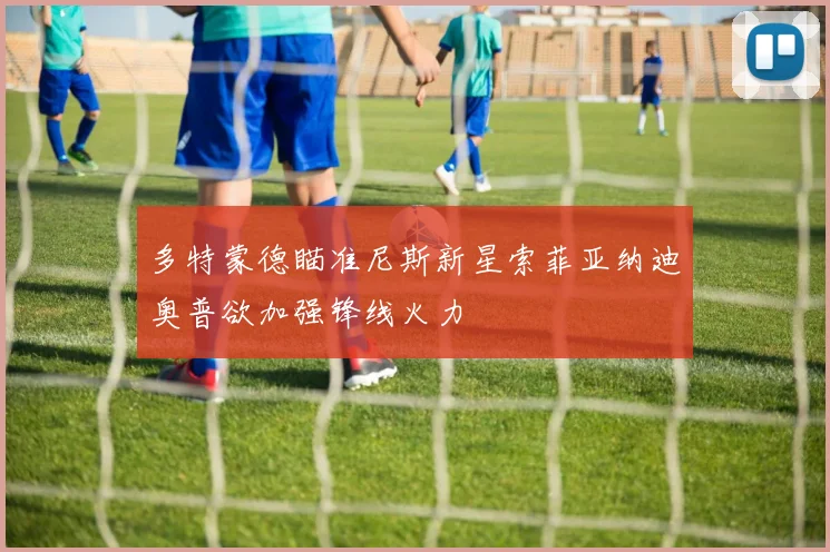 多特蒙德瞄准尼斯新星索菲亚纳迪奥普欲加强锋线火力