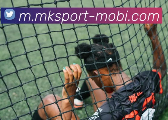 MK体育APP 高清赛事图